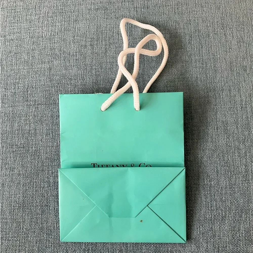 Tiffany & Co. Shopping Gift Bag